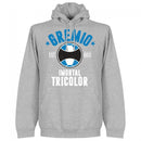 Gremio Established Hoodie - Grey - Terrace Gear