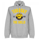 Torquay Established Hoodie - Grey - Terrace Gear