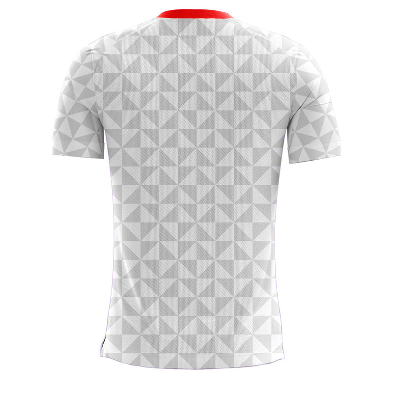 Amsterdam 2020-2021 Home Concept Football Kit (Libero) - Terrace Gear