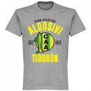 Aldosivi Established T-Shirt - Grey - Terrace Gear