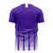Anderlecht 2020-2021 Home Concept Football Kit (Libero) - Terrace Gear