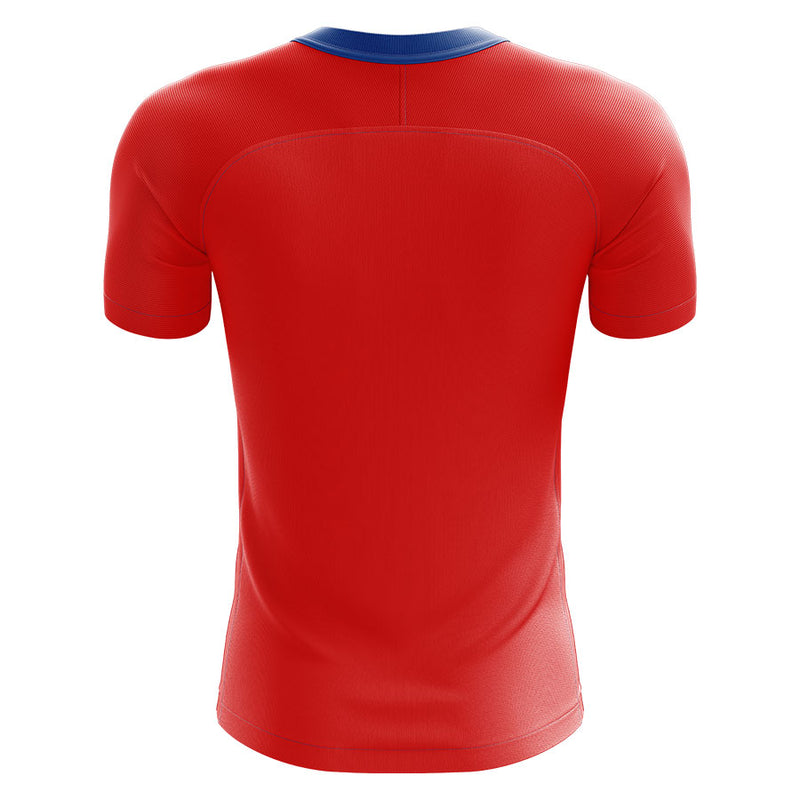 Czech Republic 2020-2021 Home Concept Football Kit (Airo) - Terrace Gear