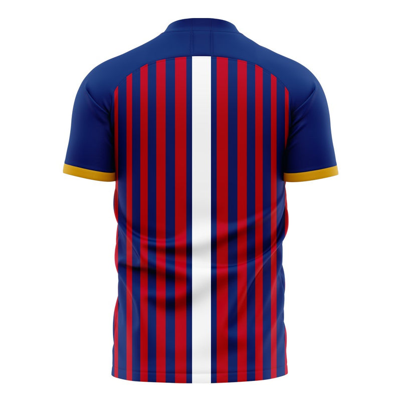 Caen 2020-2021 Home Concept Football Kit (Libero) - Terrace Gear