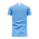 Djibouti 2020-2021 Home Concept Football Kit (Libero) - Adult Long Sleeve