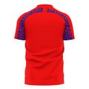 Kashima Antlers Home Concept Football Kit (Libero)