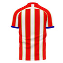 Liberia 2021-2022 Home Concept Football Kit (Libero) - Womens