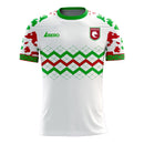 Myanmar 2020-2021 Home Concept Football Kit (Libero) - Terrace Gear