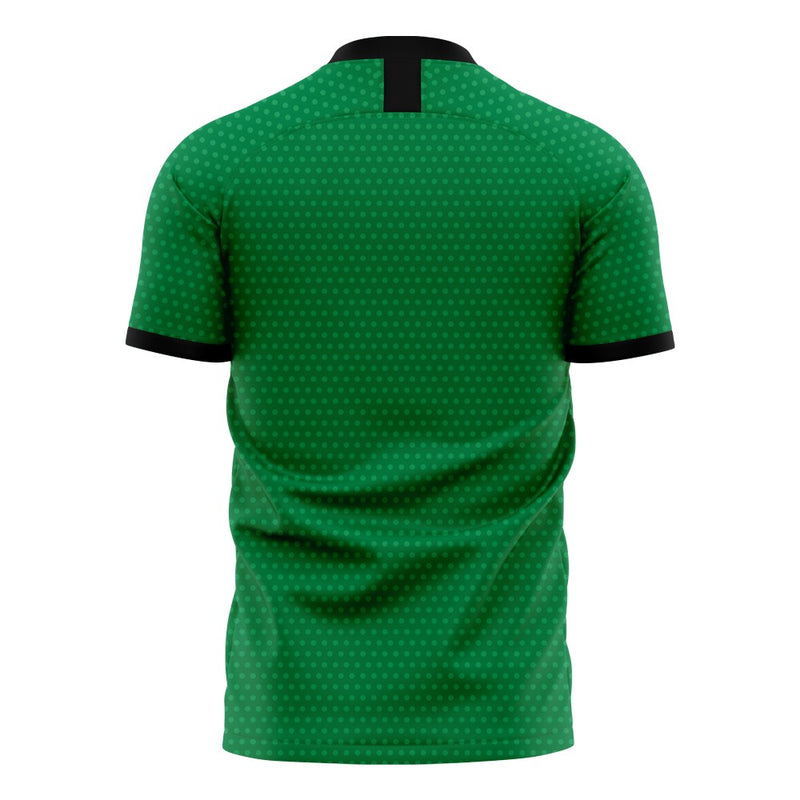 Nigeria 2022-2023 Home Concept Football Kit (Libero)