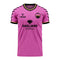 Palermo 2022-2023 Home Concept Football Kit (Viper)