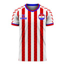 Paraguay 2020-2021 Home Concept Football Kit (Viper) - Little Boys