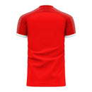 Serbia 2020-2021 Home Concept Football Kit (Libero) (TADIC 10)