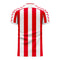 Stoke 2022-2023 Home Concept Football Kit (Viper)