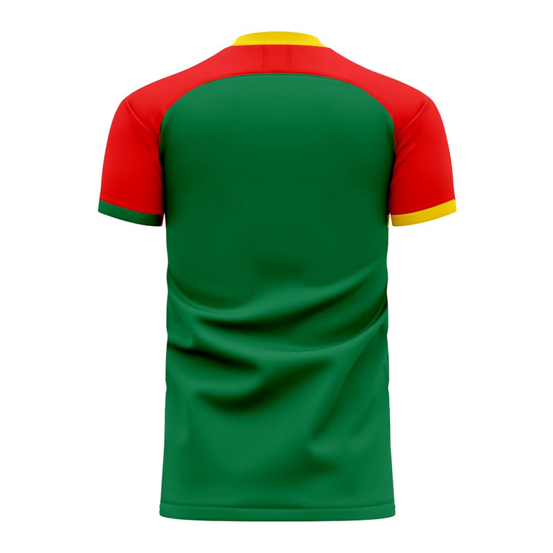 Tasmania 2022-2023 Home Concept Football Kit (Airo)
