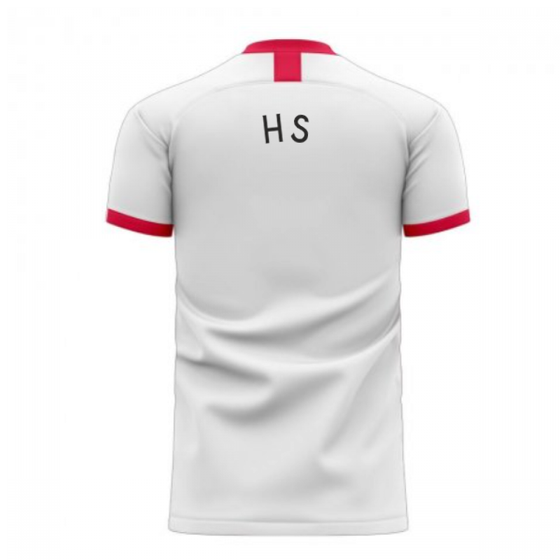 South Korea 2020-2021 Away Concept Football Kit (Libero) (H S WOOK)